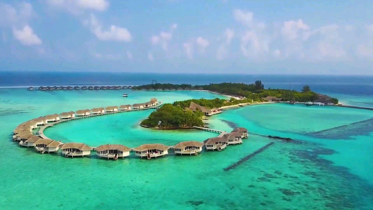 哥哥和妹妹能睡在一张床上吗?-分享与讨论的红迪社区